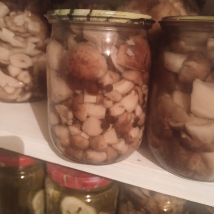 Продам грибочки этого года