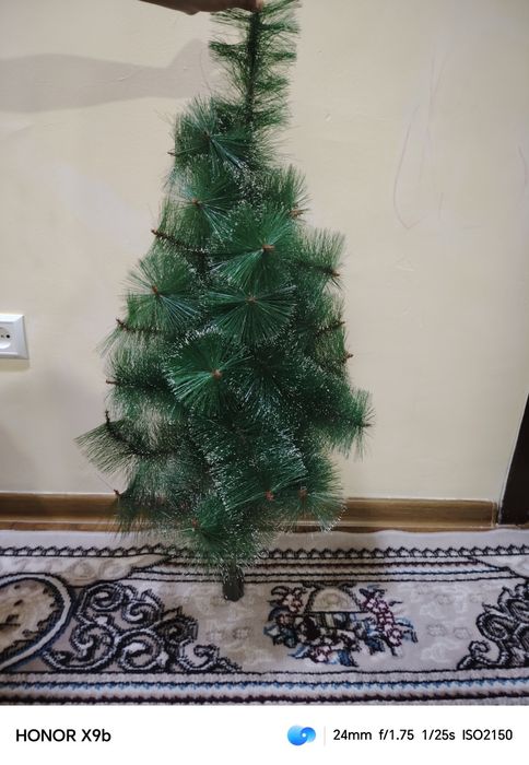 Archa елка fir tree