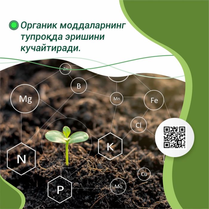 Assalomu alaykum arganika toza biogomus maxsulotlari bor va kompost