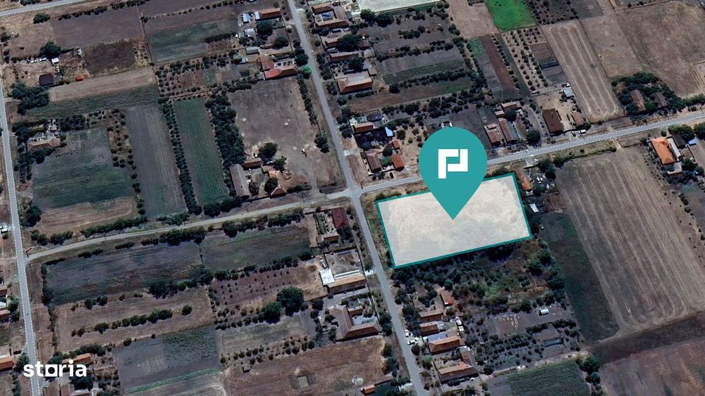 Teren intravilan 6115mp pentru investiții Firiteaz