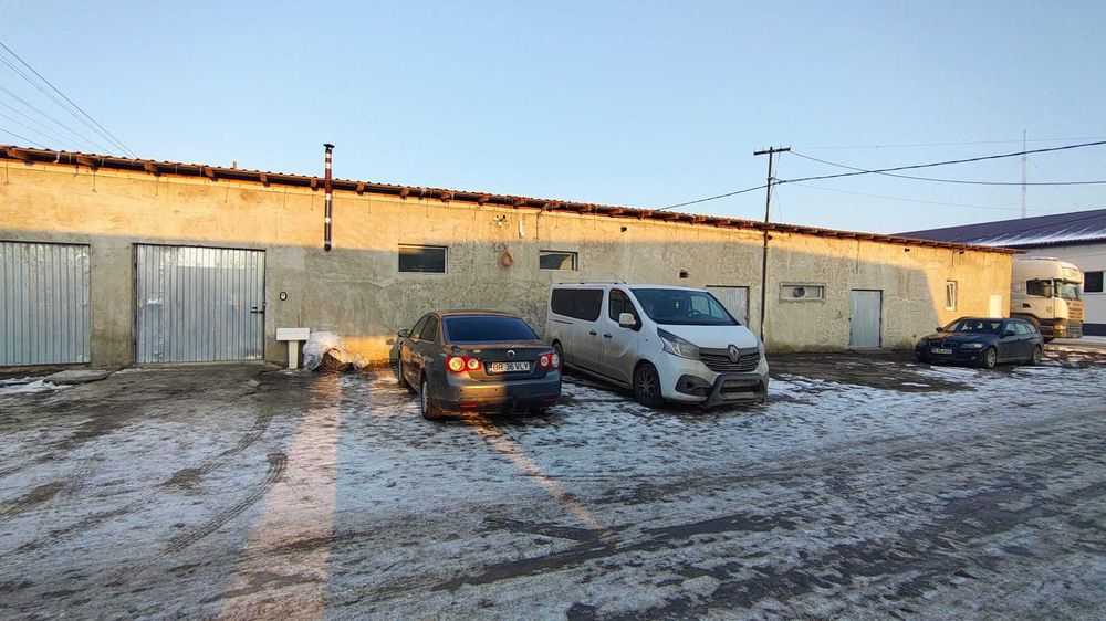 Depozit de inchiriat - Avicola Letcani