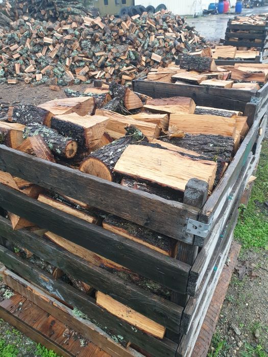 Дърва за Огрев 2024