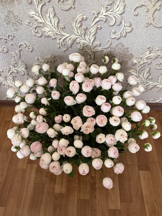 Продам красивую корзину пионов