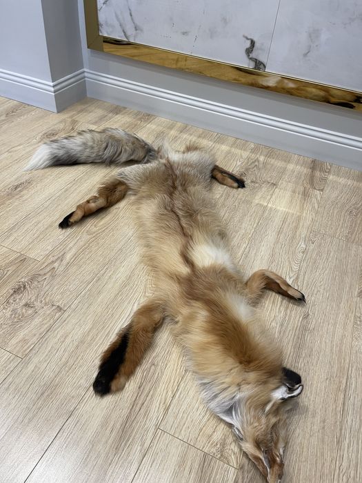 Воротник лисы