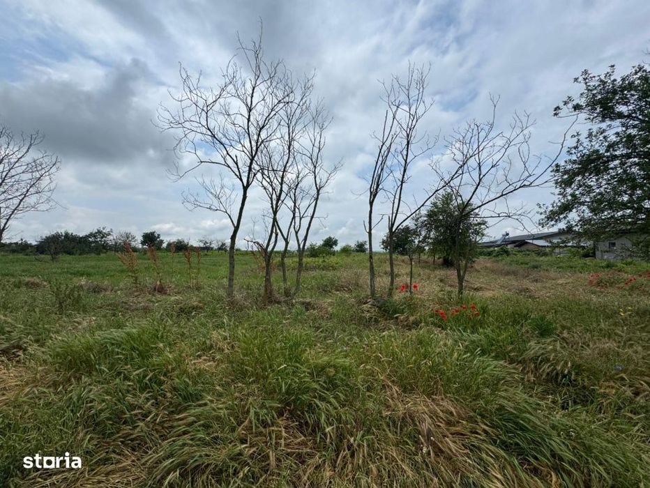 Teren Intravilan– 2.156 mp, zona Preajba