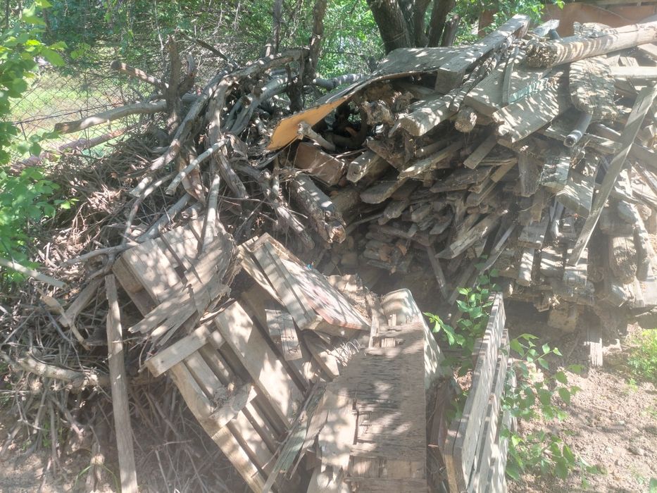 Продам дрова (6+ кубов) / O'tin sotiladi (6 kubdan ortiq)