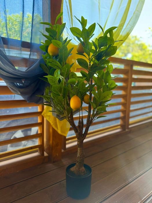 Продаваме бунгало в къмпинг Созопол Еко