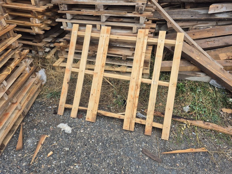 Обикновени палета ,скари