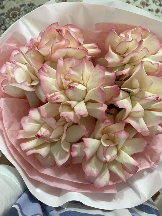 Гүл свежый күшті