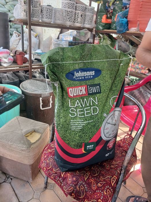 Gazon ekish xizmati.