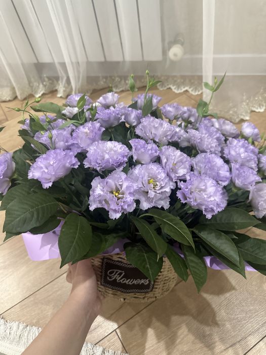 Свежие цветы в корзинке