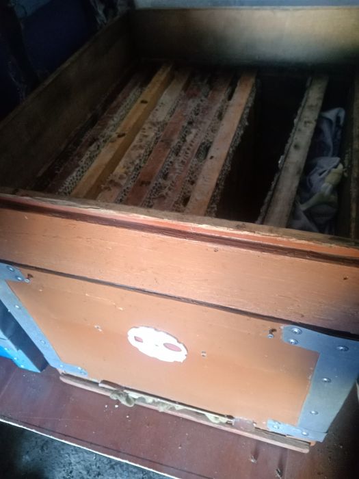 Продам мёд,рамки с медом