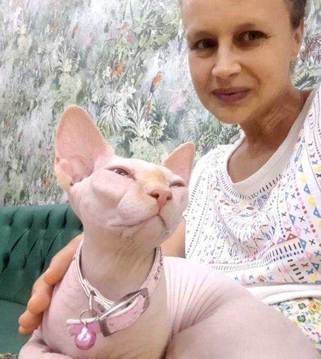 Îngrijire animăluțe - Grijă, iubire și vizite zilnice