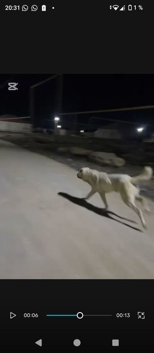 Срочно сатылады минус жоқ итте