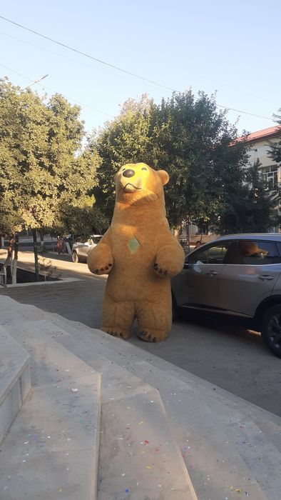 3,5 metrlik 2 ta ayiq sotiladi