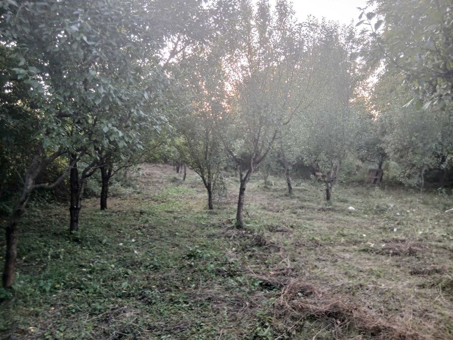 Teren intravilan, Gura Vitioarei, 908 mp