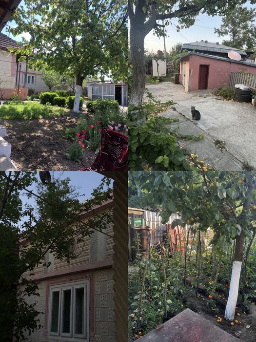 Casă în vânzare la Târgu Bujor, Galați