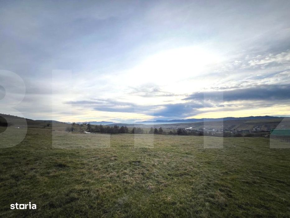 Oportunitate de Investitie - 8000 mp intravilan in Salicea