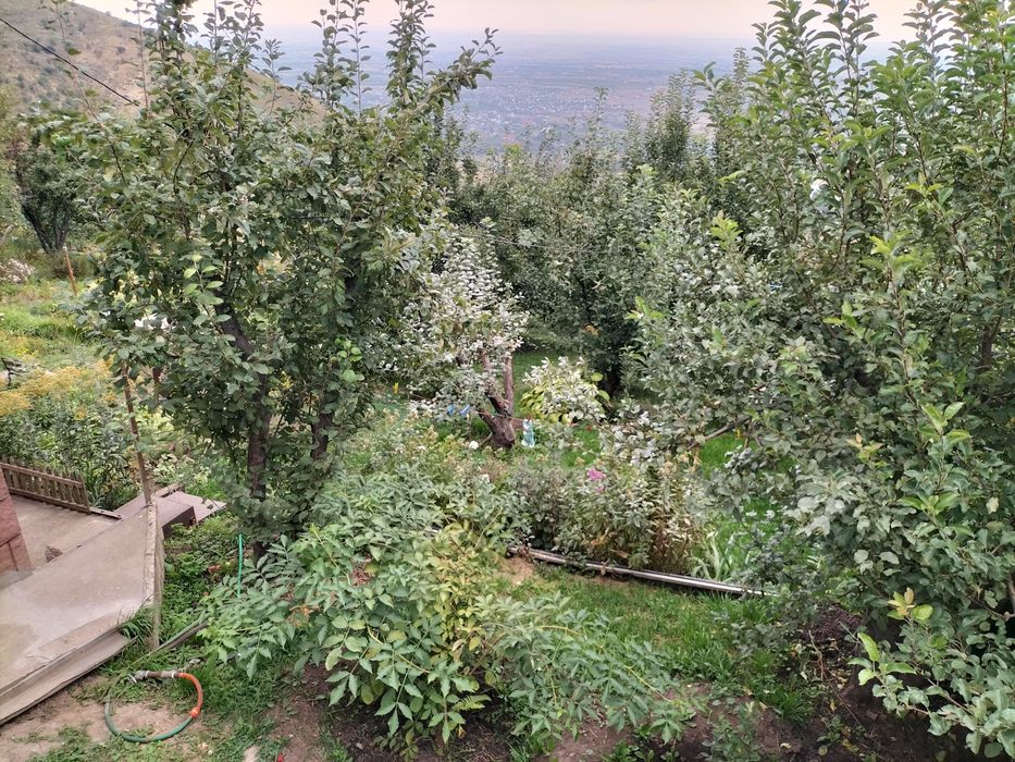 Продам дачу в ущелье Байбулак