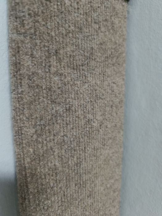 Кошачья когтеточка