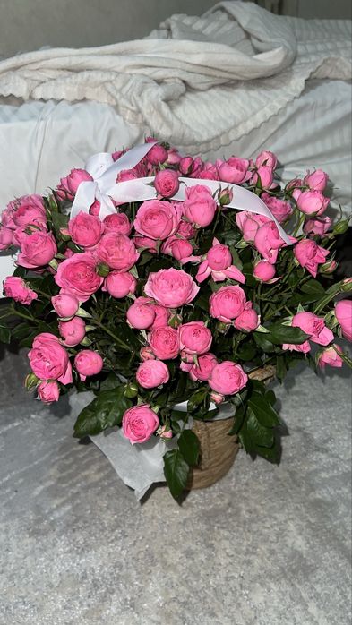 Свежие цветы