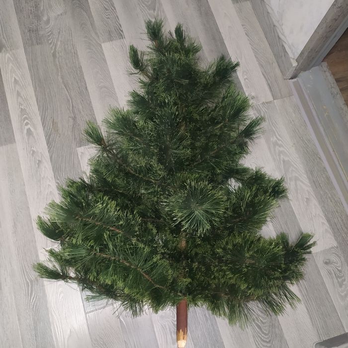 Ёлка в отличном состоянии