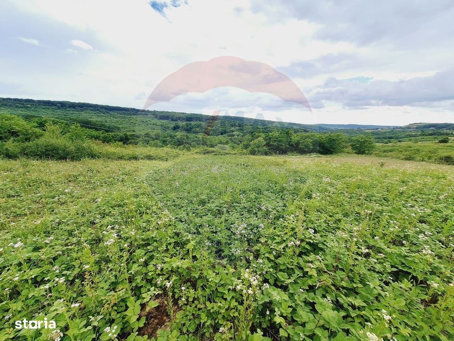 Teren 5,755mp Hidiselu de Sus / DN PRINCIPALA
