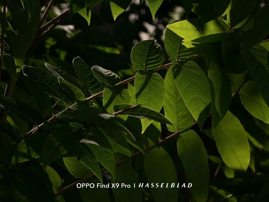 OPPO Find X9 Pro CN