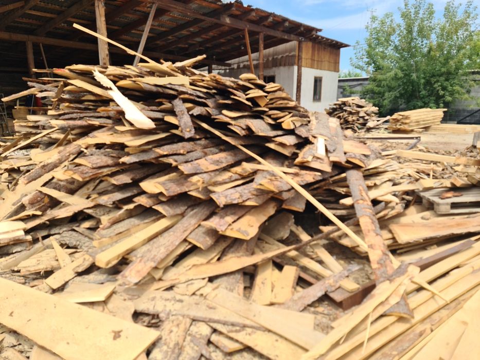 Гарбыль сосна ель