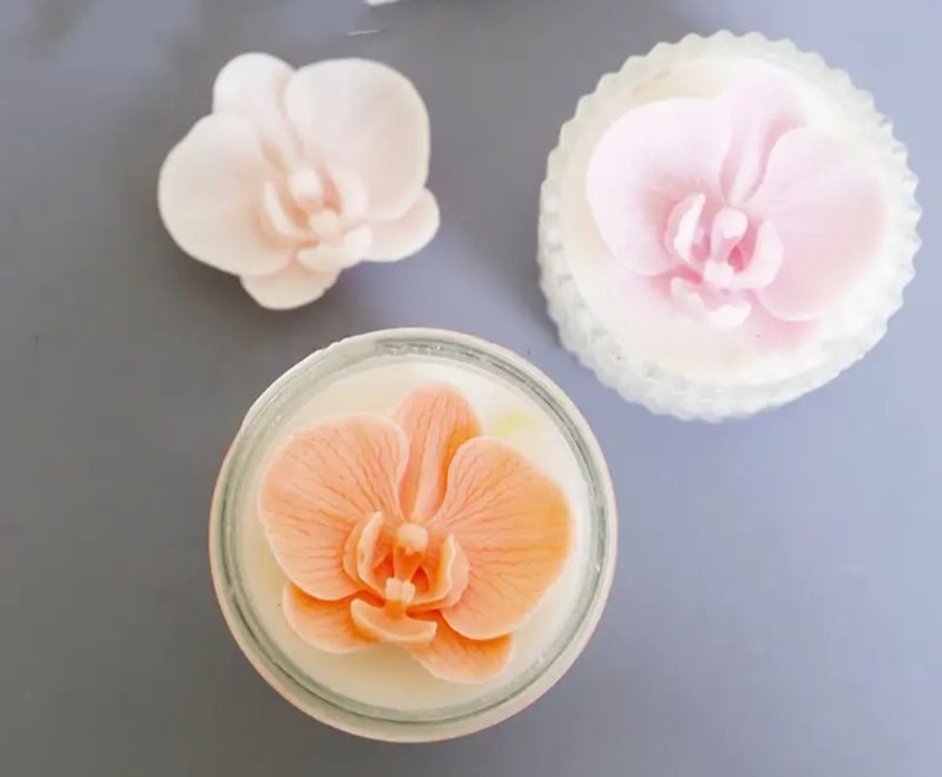 Молд     Орхидея