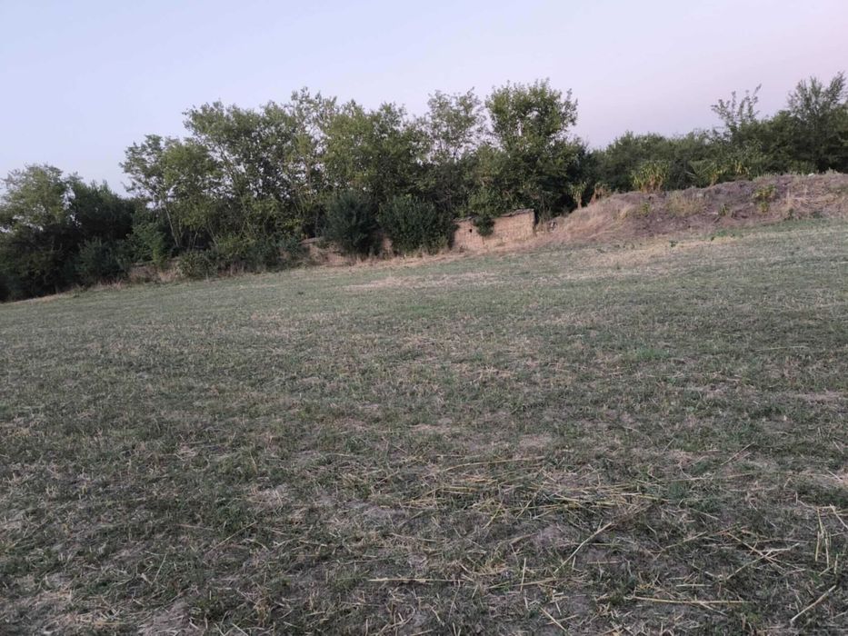 Продава се Парцел в с. Якимово, Област Монтана - 3100 кв.м за 2 €/кв.м - Снимка #4