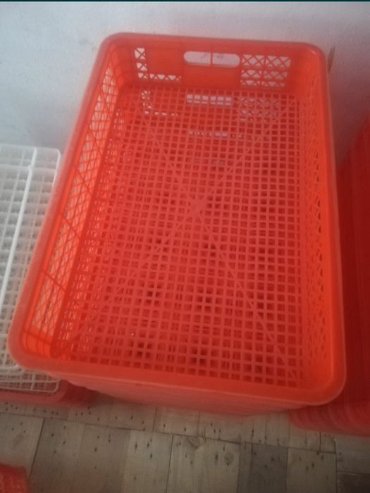 Инкубатон.inqubator