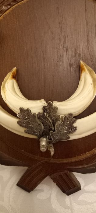 Немски трофеи диво прасе, сръндак/Чинии ловна тематика