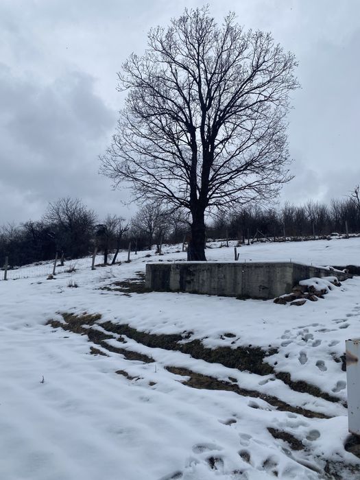 Продава се Парцел в Варна, Владислав Варненчик - 1581 кв.м за 12 €/кв.м - Снимка #3