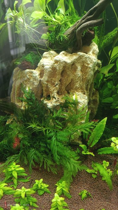 Камень для аквариума