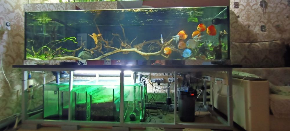 Продам аквариум 1600л.