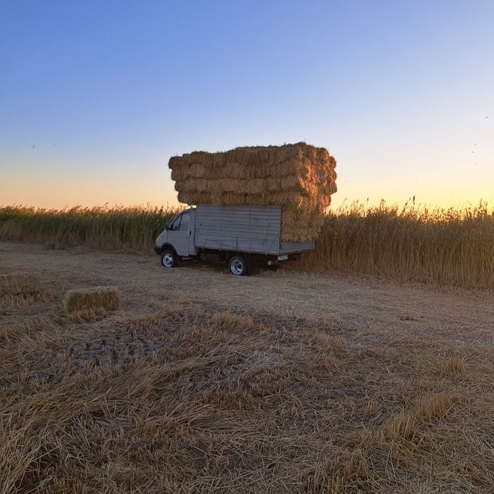 САБАН ПРЕС БАР доставка бар