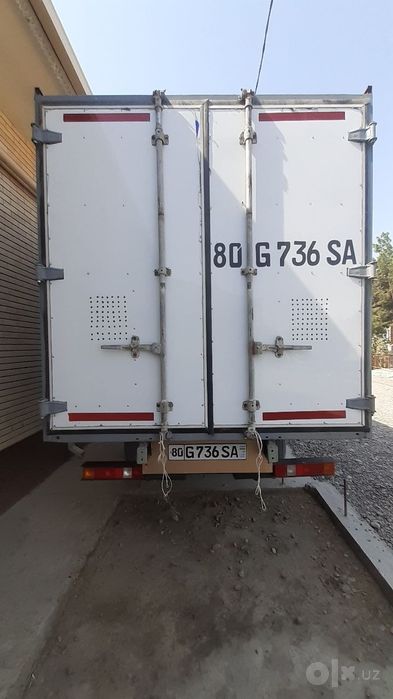 Gazel              .