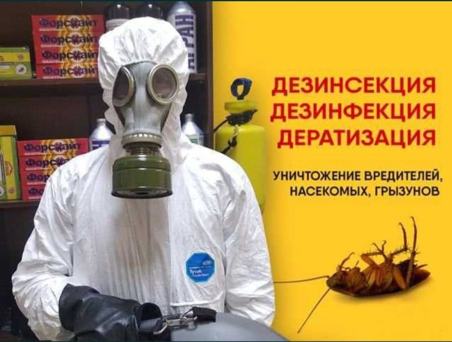 Уничтожение насекомых