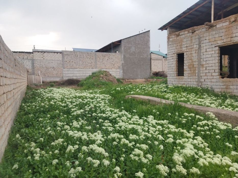 КИБРАЙ  Бирлик махаллада  6 сотих участка сотилади