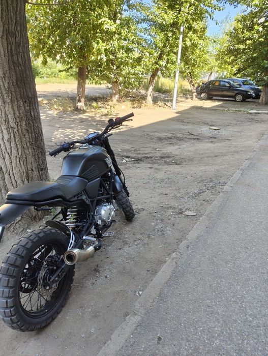 Daytona Scrambler