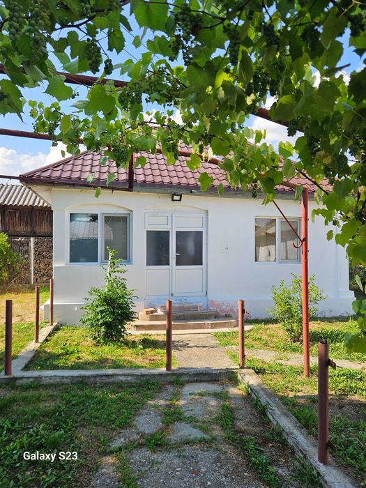 Casa de vanzare Barasti Olt