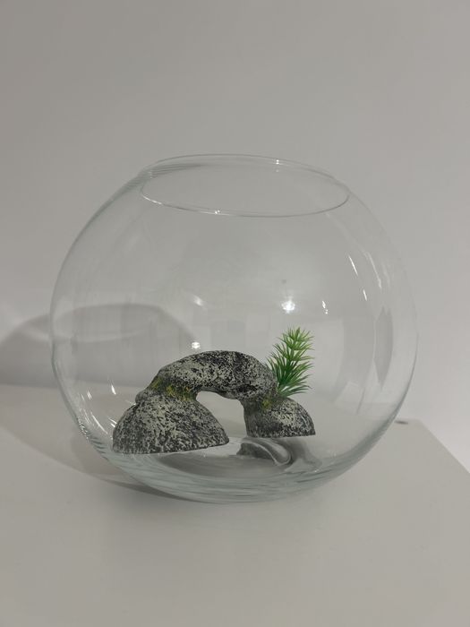 Acvariu cu decoratiune ideal pt beta