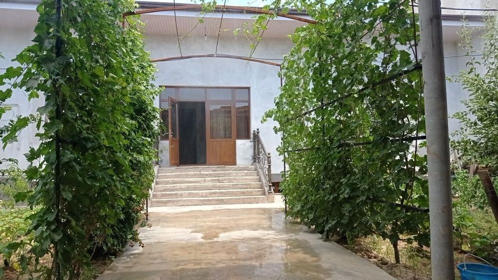 Arenda Toshkent tumani mexnat 2km kirganda hovli ijaraga biznes ga ham