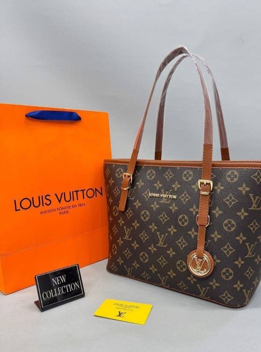 Geanta Luis Vuitton pentru studente