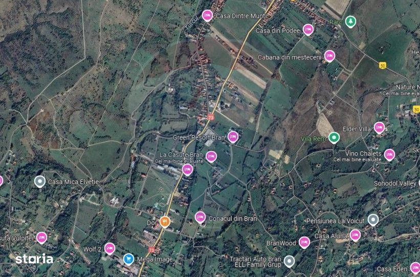Teren Tohanul Nou 4500mp, in spate Wolf