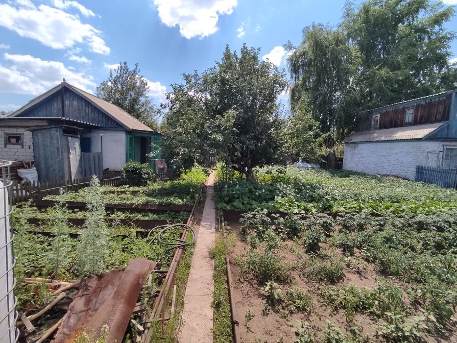 Дача садоводство!