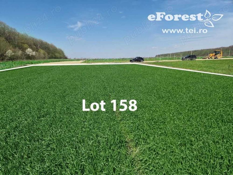 Loturi de teren, eForest, langa doua paduri, acces din DN1A, Crevedia