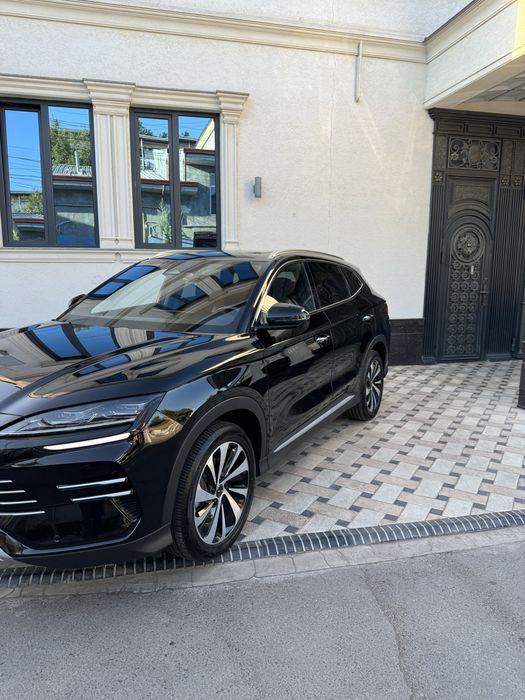 Byd chempion gibrit