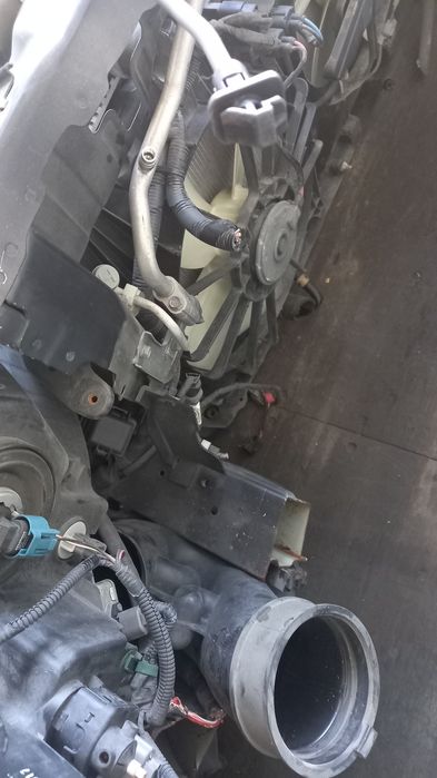 Хонда элизиён носкат